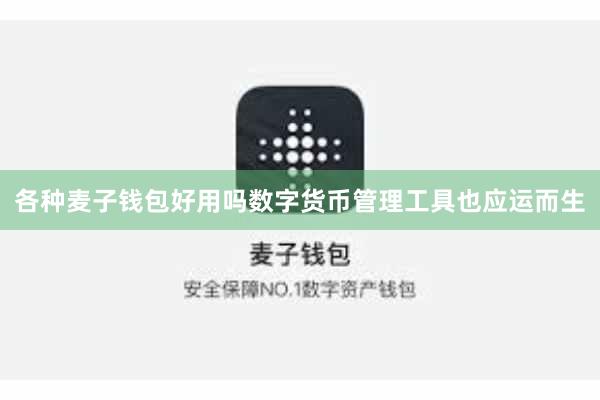 各种麦子钱包好用吗数字货币管理工具也应运而生
