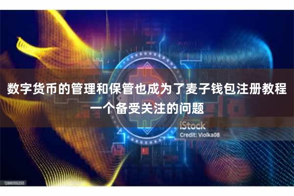 数字货币的管理和保管也成为了麦子钱包注册教程一个备受关注的问题