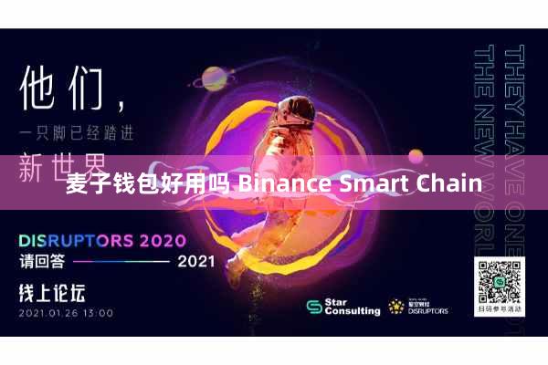 麦子钱包好用吗 Binance Smart Chain